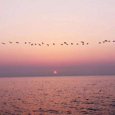 我是航海家官方版下载